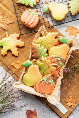Beton arka plandaki hediye kutusunda çok renkli sonbahar ev yapımı kurabiyeler..