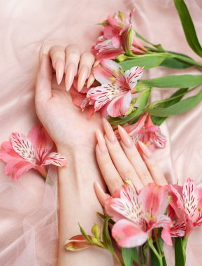 Zarif pastel pembe doğal manikür. Pembe ipek arka planda çiçekli kadın elleri..