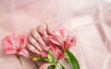 Zarif pastel pembe doğal manikür. Pembe ipek arka planda çiçekli kadın elleri..