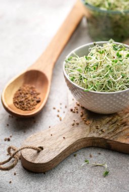 Kavanozda büyüyen mikro yeşiller. Sağlıklı Yeme