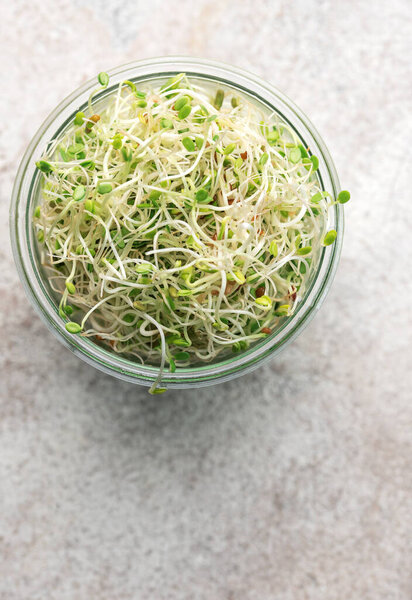 Microgreens grown in a jar.  Healthy Eating