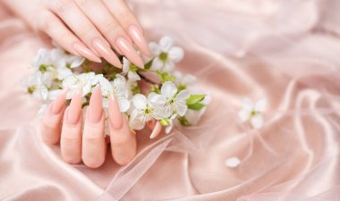 Zarif pastel pembe doğal manikür. Pembe ipek arka planda kiraz çiçeği açan kadın elleri.