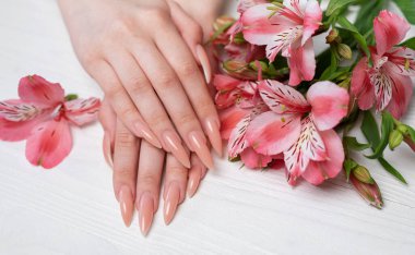 Zarif pastel pembe doğal manikür. Beyaz ahşap arka planda çiçekli kadın elleri..
