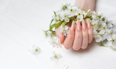 Zarif pastel pembe doğal manikür. Beyaz ahşap arka planda kiraz çiçeği açan kadın elleri.