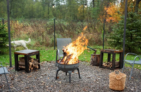 Iron fire pit and burning fire in a garden