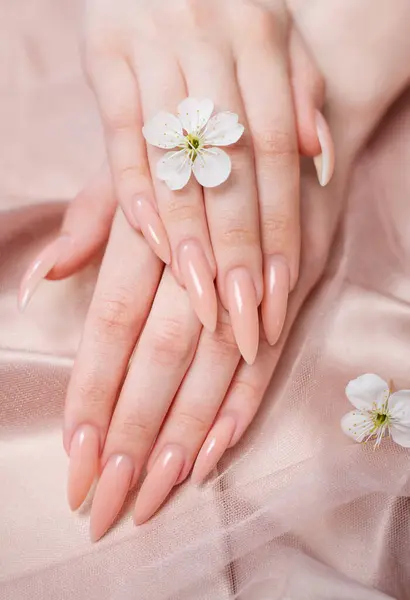 Elegant Pastellrosa Naturlig Manikyr Kvinnelige Hender Med Kirsebærblomster Rosa Silkebakgrunn – stockfoto