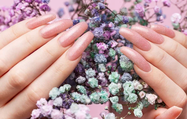 Female hands with pink nail design  hold gypsophila flowers. Pink nail polish manicure on pink background