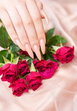 Zarif pastel pembe doğal manikür. Pembe ipek arka planda gülleri olan kadın elleri.