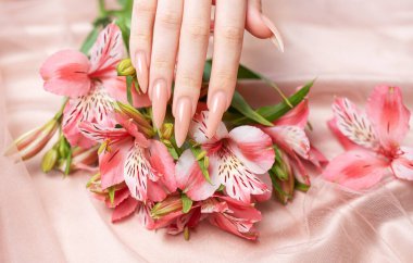 Zarif pastel pembe doğal manikür. Pembe ipek arka planda çiçekli kadın elleri..