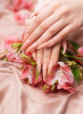 Zarif pastel pembe doğal manikür. Pembe ipek arka planda çiçekli kadın elleri..