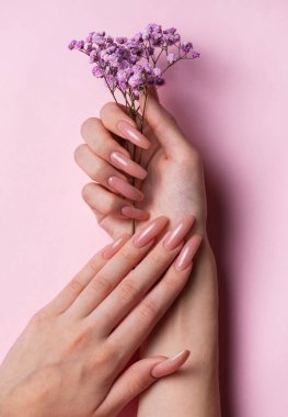 Pembe tırnak desenli kadın elleri gypthe çiçekleri tutar. Pembe arka planda pembe oje manikürü.