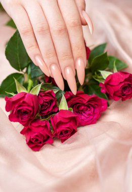 Zarif pastel pembe doğal manikür. Pembe ipek arka planda gülleri olan kadın elleri.