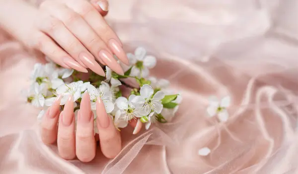 Elegant pastel pink natural manicure. Female hands  with Cherry blossom flowers  on pink silk background.