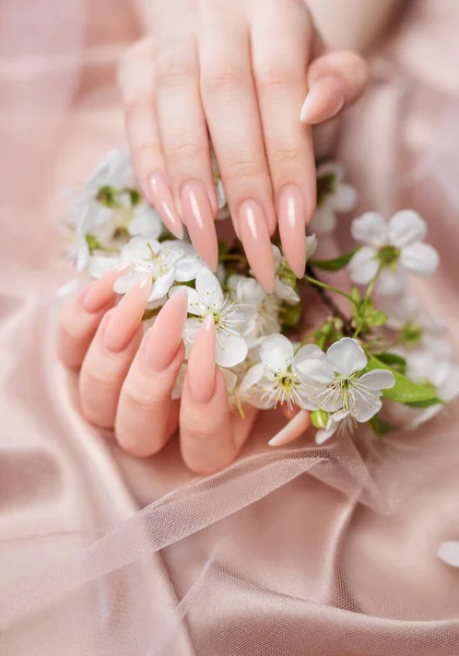 Elegant pastel pink natural manicure. Female hands  with Cherry blossom flowers  on pink silk background.