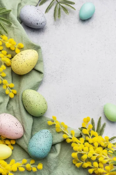 Telur Paskah Berwarna Dan Bunga Mimosa Latar Belakang Beton Tampilan Stok Foto