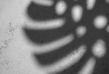 Canavarların gölgeleri gri beton arka planda kalır..