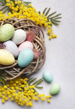 Sarı bahar çiçekleriyle süslenmiş küçük bir sepetteki pastel renkli Paskalya yumurtalarının yakın plan görüntüsü Paskalya kutlamalarını simgeliyor..