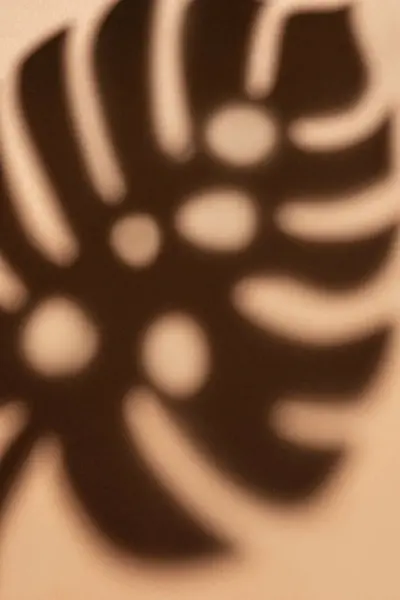 Shadows from monstera leaves on a light brown background.