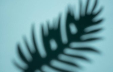 This image captures the delicate shadow of a tropical leaf projected onto a smooth, light blue surface with a soft-focus effect creating an abstract aesthetic. clipart