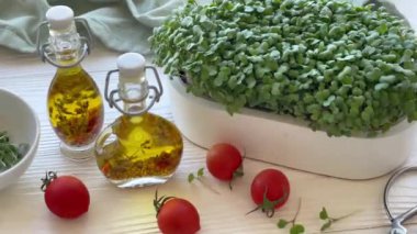 Mikroyeşillikler yerli yetiştirme. Masanın üzerinde turp yeşili lahanalar olan kaplar. Vegan ve organik gıda konsepti.