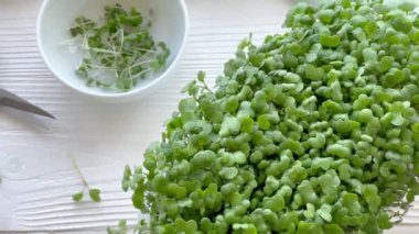 Mikroyeşillikler yerli yetiştirme. Masanın üzerinde turp yeşili lahanalar olan kaplar. Vegan ve organik gıda konsepti.