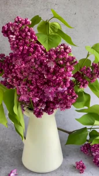 Ramo Flores Lila Primavera Púrpura Jarrón — Vídeo de stock