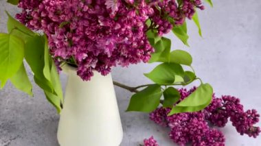 Bir vazoda bahar leylağı demeti