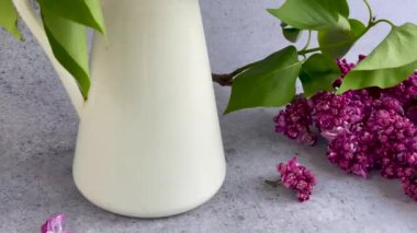 Bir vazoda bahar leylağı demeti