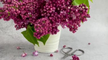 Bir vazoda bahar leylağı demeti