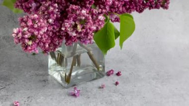 Bir vazoda bahar leylağı demeti