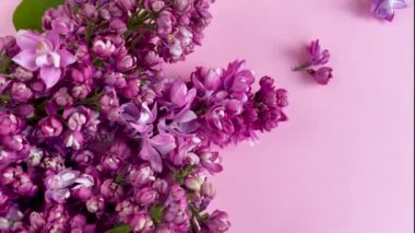 Mor leylak çiçeği buketi. Bahar konsepti