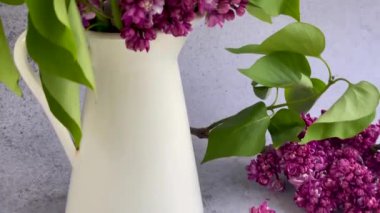 Mor leylak çiçeği buketi. Bahar konsepti