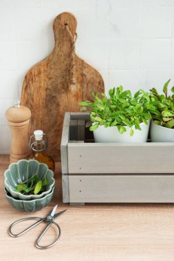 Bir mutfak tezgahındaki şık gri ahşap kutunun içine yerleştirilmiş, yemyeşil otlardan oluşan bir koleksiyon bireysel olarak gelişiyor. Bitkilerin bitişiğinde ahşap kesim tahtası, biber öğütücü, marul dolu seramik kase ve bir çift bilim adamı var.