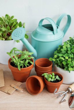 Bir dizi taze yeşil otlar ahşap bir yüzey üzerinde düzgünce düzenlenir.