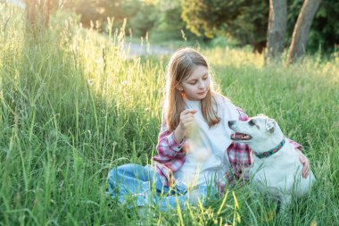 Doğada köpeği olan bir çocuk, yeşil çimlerde köpekle oynayan bir kız.