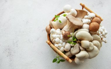 Gri beton arka planda ham mantarların çeşitliliği. 