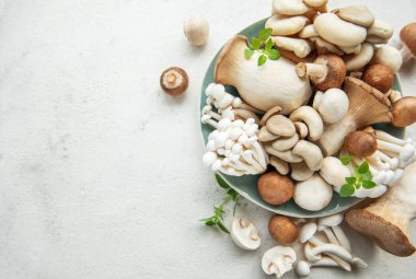 Gri beton arka grubunda çeşitli çiğ mantar çeşitleri