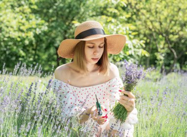 Genç güzel kadın lavanta çiçeği topluyor.