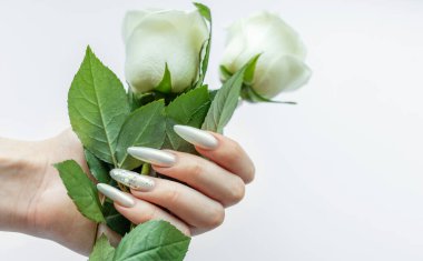 Beyaz bir zemin üzerinde kadın elleri Güzel bir inci manikür ve beyaz gül