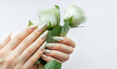 Beyaz bir zemin üzerinde kadın elleri Güzel bir inci manikür ve beyaz gül