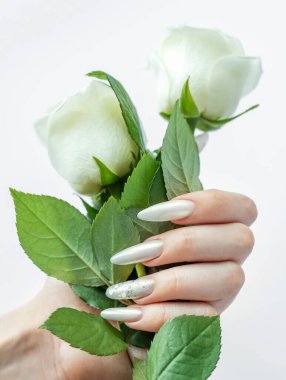 Beyaz bir zemin üzerinde kadın elleri Güzel bir inci manikür ve beyaz gül