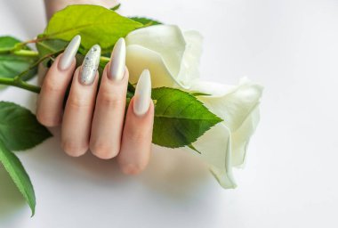 Güzel inci manikürlü ve beyaz güllü kadın elleri