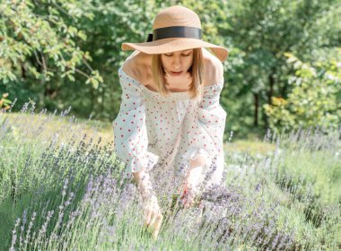 Genç ve güzel bir kadın lavanta çiçeği topluyor.