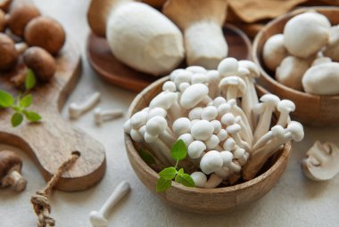 Gri beton arka grubunda çeşitli çiğ mantar çeşitleri