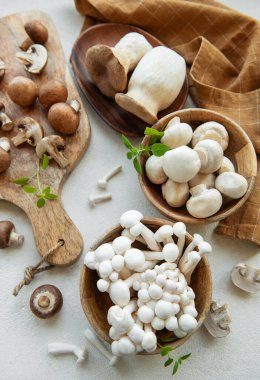 Gri beton arka grubunda çeşitli çiğ mantar çeşitleri