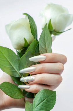 Beyaz bir zemin üzerinde kadın elleri Güzel bir inci manikür ve beyaz gül