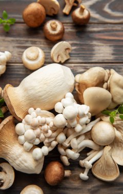 Çeşitli çiğ mantar çeşitleri 