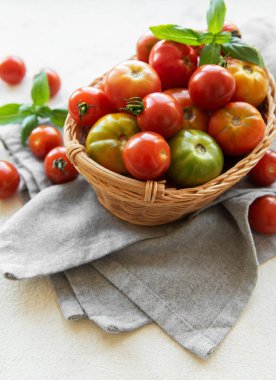 Masada fesleğen yapraklı taze organik karışık domatesler.