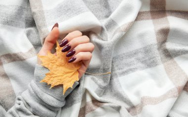 Koyu mor tırnaklı bir el yumuşak bir kareli battaniyenin üzerinde dinlenirken parlak bir turuncu yaprağı nazikçe tutar ve sonbahar sükunetinin özünü yakalar..