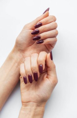 Güzel manikürlü, koyu mor tırnaklı iki el, el değmemiş beyaz arka planda sergileniyor. Tırnaklar zarif bir şekilde şekillenmiş, manikürün sanatını vurguluyor..
